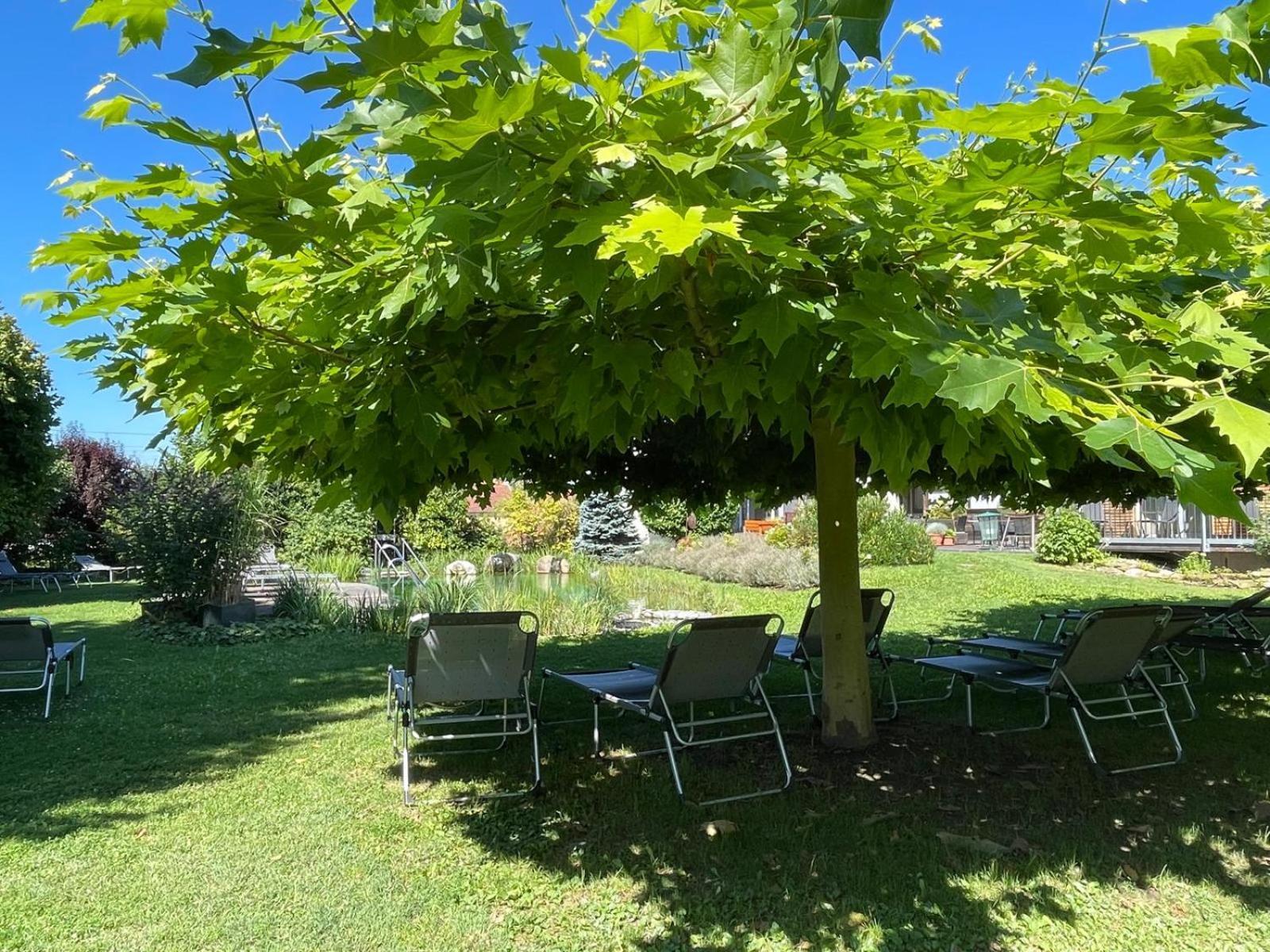 Weinresidenz Sonnleitner - Adults Only Hotel Furth bei Gottweig Bagian luar foto