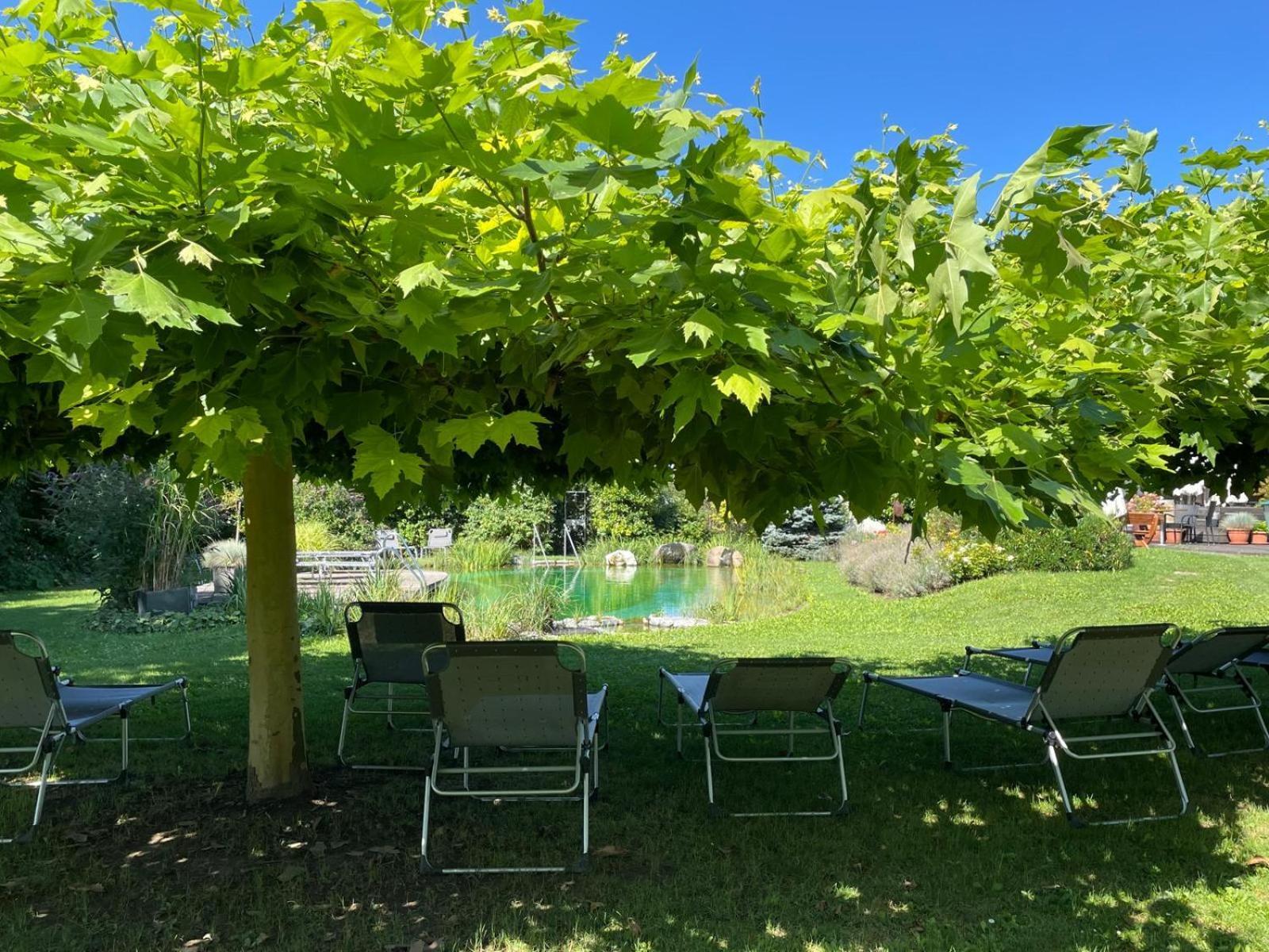Weinresidenz Sonnleitner - Adults Only Hotel Furth bei Gottweig Bagian luar foto